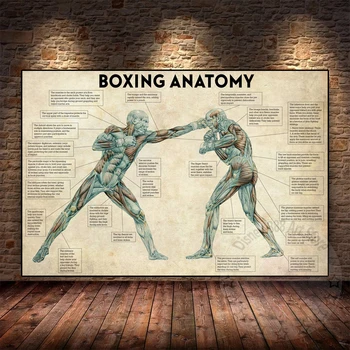 Винтажные плакаты и принты с анатомией тела в боксе, настенное искусство, картина на холсте, подарок любителю бокса для тренажерного зала, украшение дома Cuadros